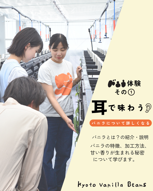 五感で味わうバニラ体験