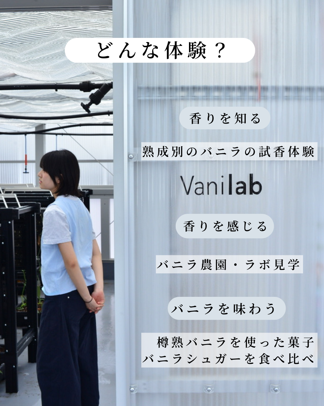 【業者様・店舗オーナー様・決裁権のあるシェフ様限定】京都バニラビーンズ 試香会 ＆ 農園見学プログラム