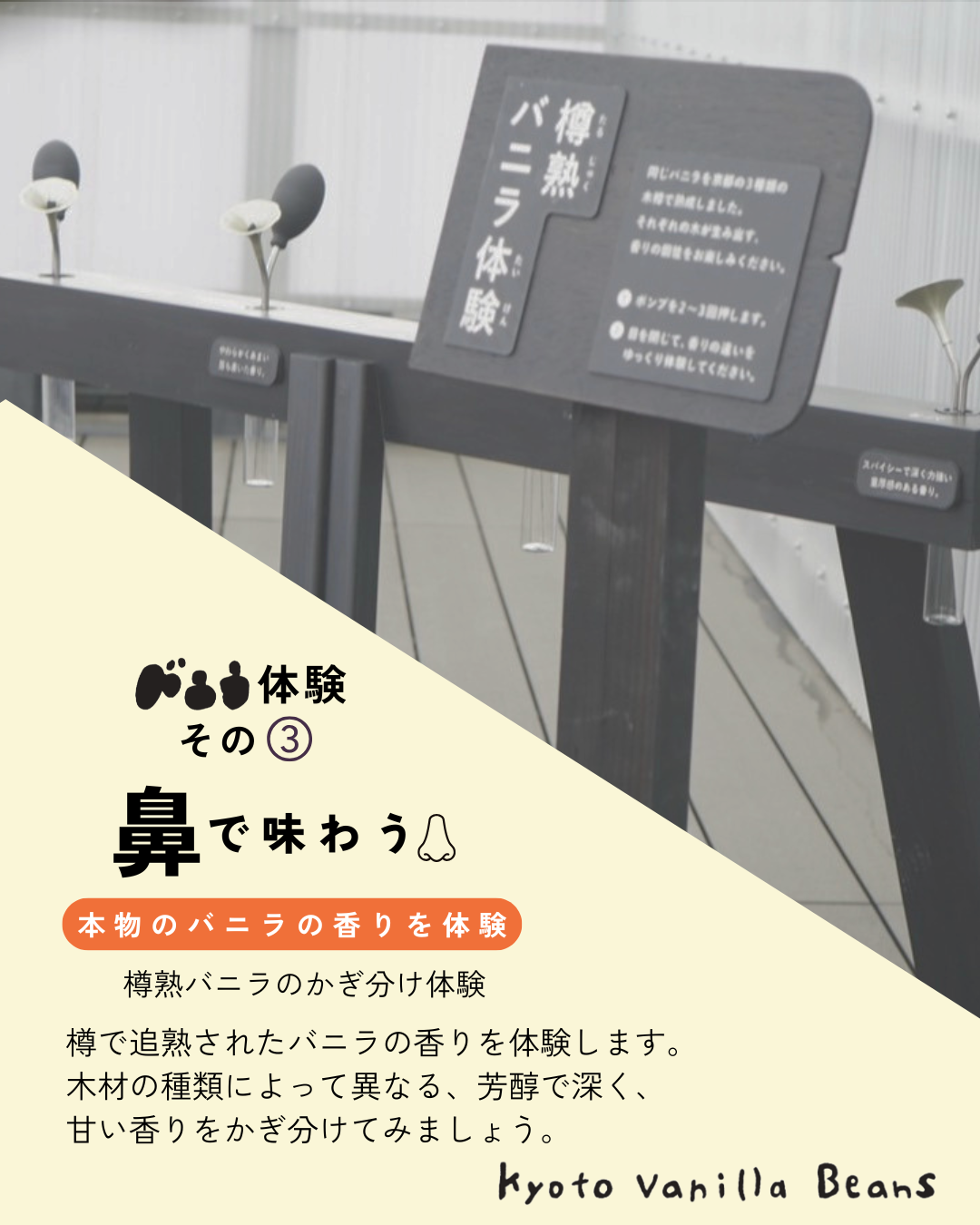 五感で味わうバニラ体験